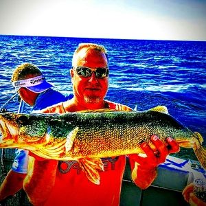 Meet your Posher, Danny lee coins & cents